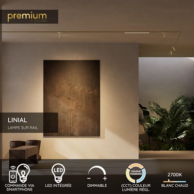 Lucide Premium LINIAL LUX Spot sur rail - Système de rail monophasé / Éclairage sur rail smart - Smart - 48V Track - 1xLED - Champagne